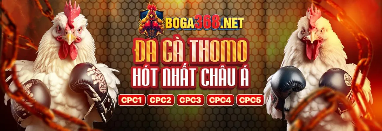 Đá Gà Trực Tuyến shbet17 nhà cái